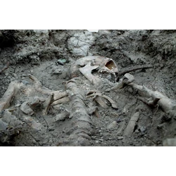 Régi magyar lovas temetkezés keleti változatai